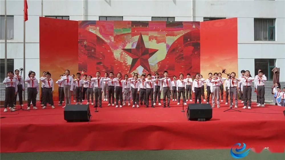 忍者鲨鱼